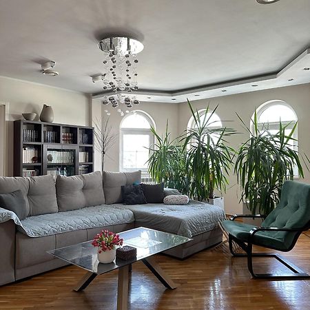 Lovely Apartments Free Street Parking نوفي ساد المظهر الخارجي الصورة